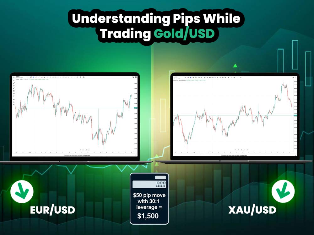 Understanding Pips While Trading Gold/USD