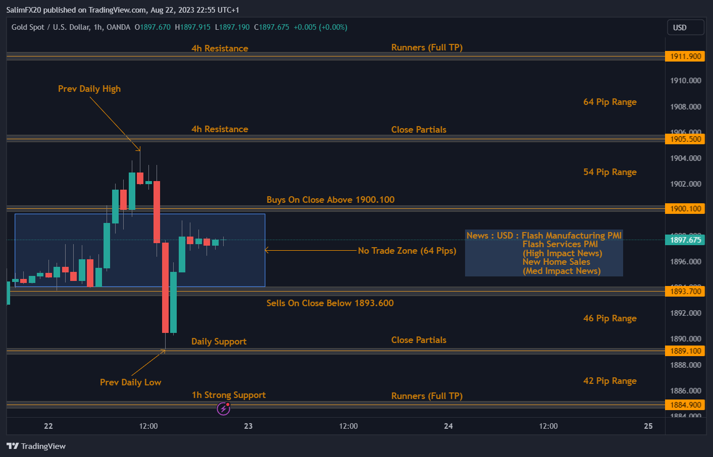 XAUUSD Technical Analysis 23.08.2023 1h chart