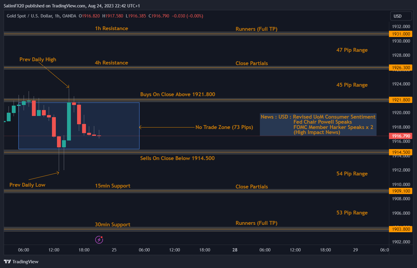 XAUUSD Technical Analysis 25.08.2023 1h chart