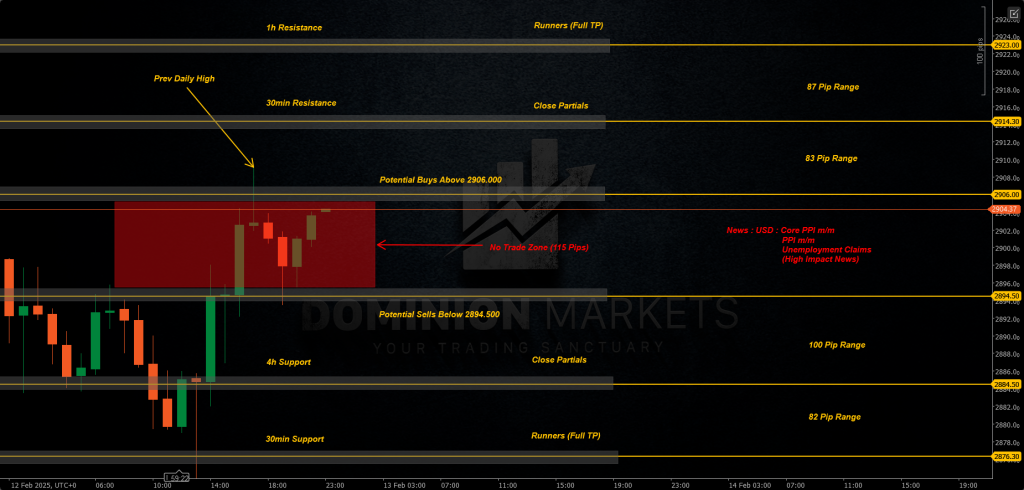 XAUUSD Technical Analysis 13th February 2025 1h chart